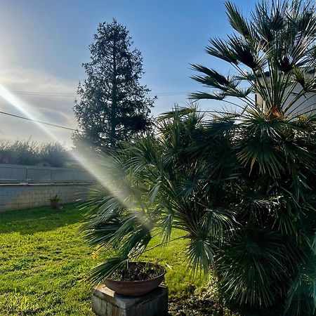 A Casa Di Marco Guesthouse - Apt Di Ciampino E Stazione Per Roma Marino Exteriér fotografie