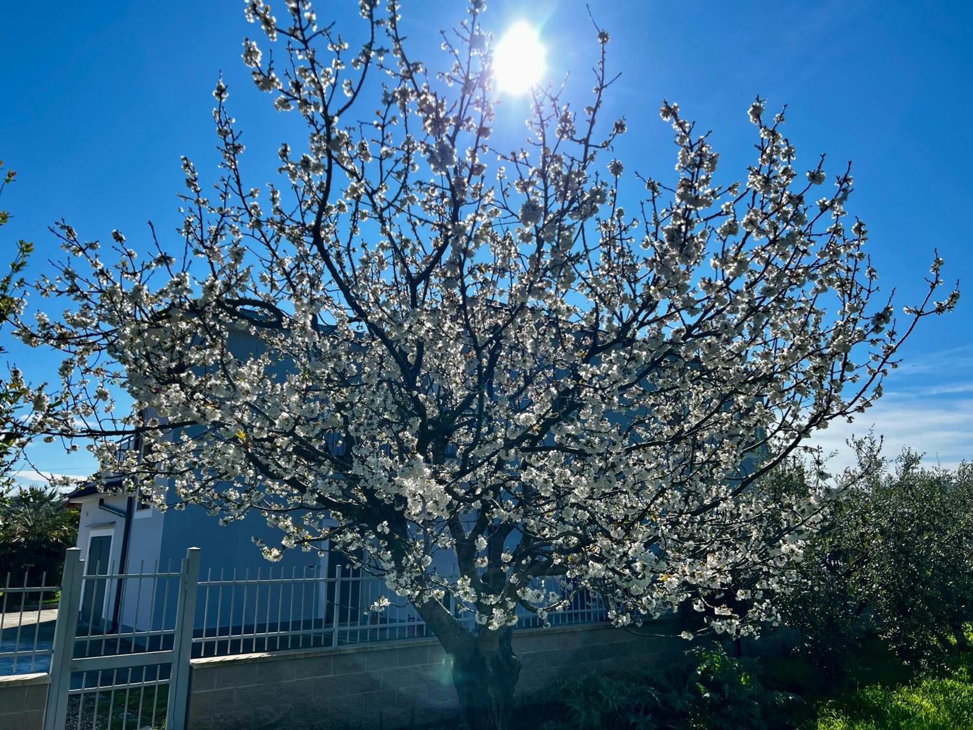 A Casa Di Marco Guesthouse - Apt Di Ciampino E Stazione Per Roma Marino Exteriér fotografie
